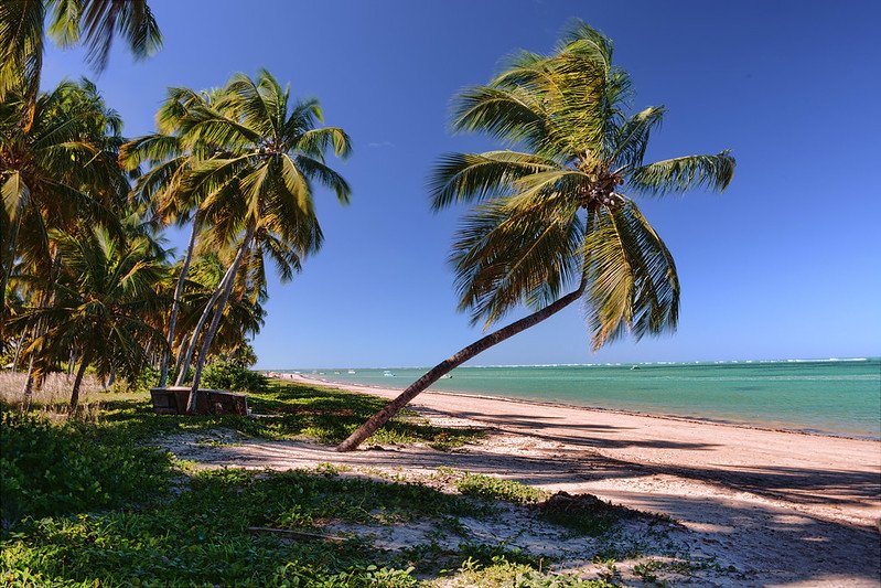 Praia do Patacho, em Alagoas