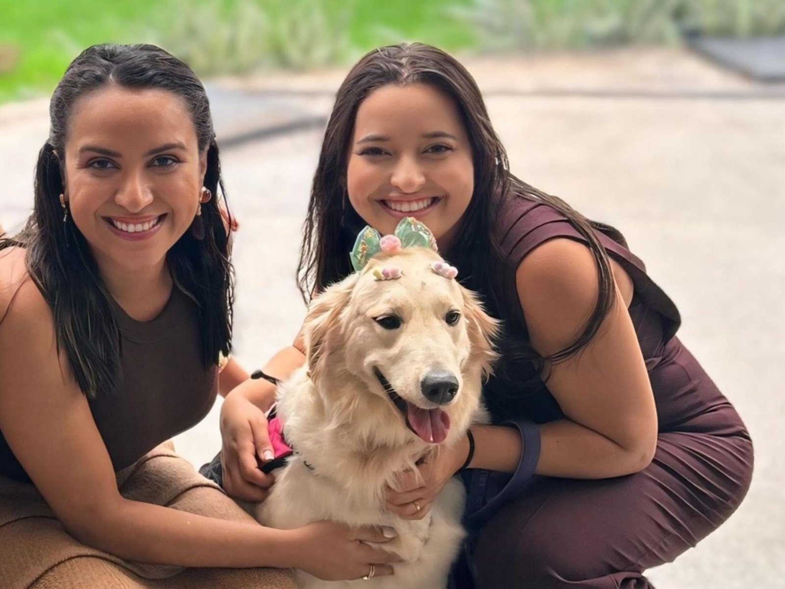 cadela terapeuta autismo